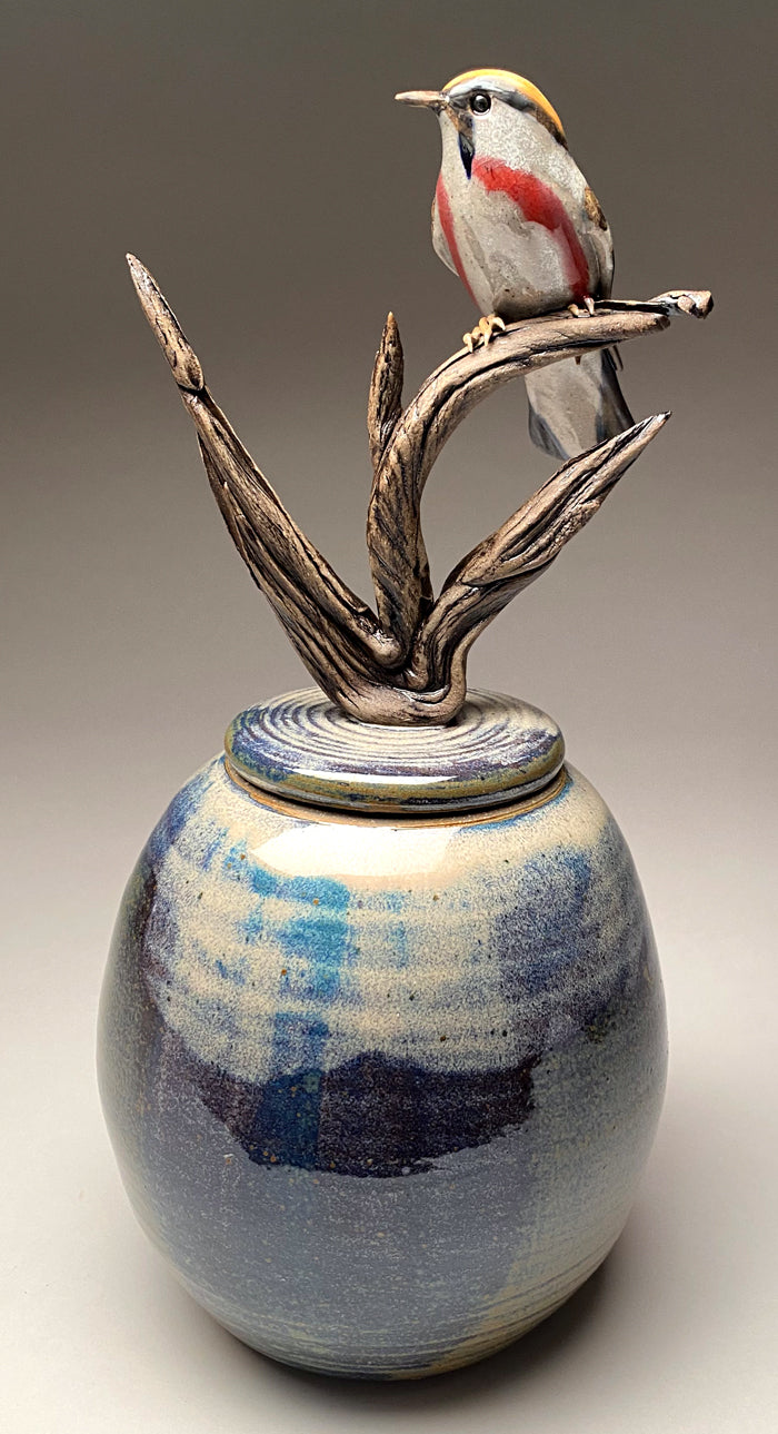 Chestnut-sided Warbler