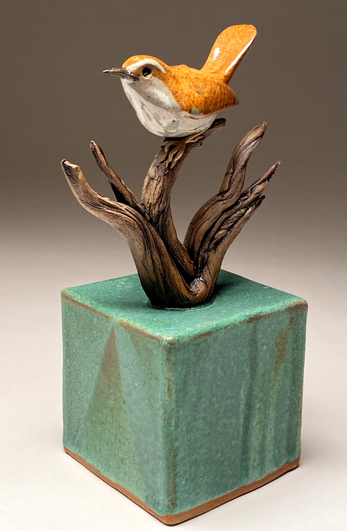 Carolina Wren