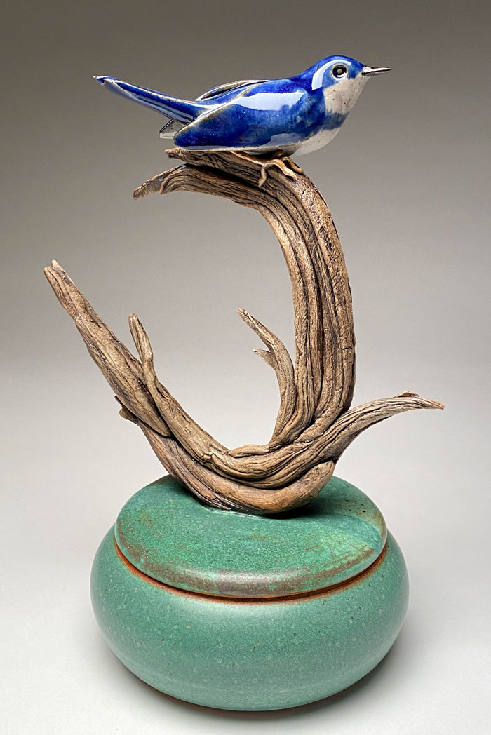 Cerulean Warbler jar
