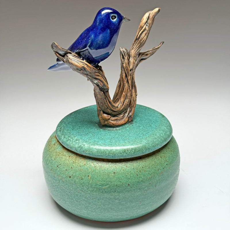 Indigo Bunting